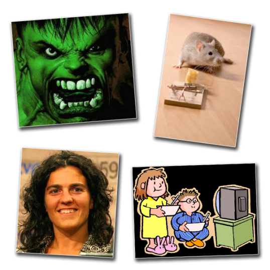 4 argazkiak_irungo eskolarteko lehenengo bertso paper lehiaketa